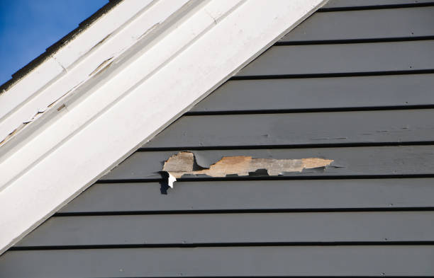 How To Choose The Right Materials for Your Siding Installation in 'Big Spring, TX